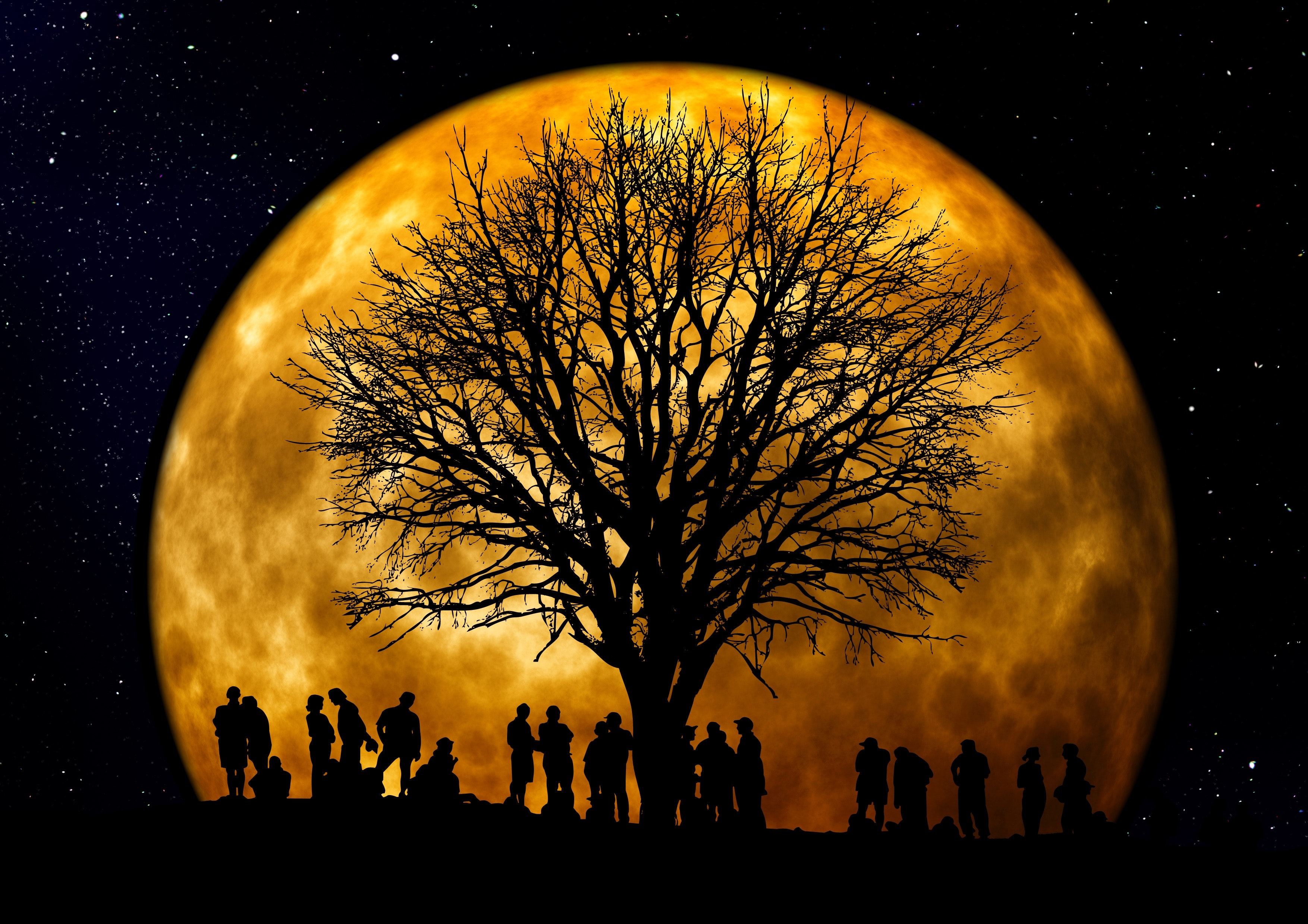 community-dark-full-moon-22138